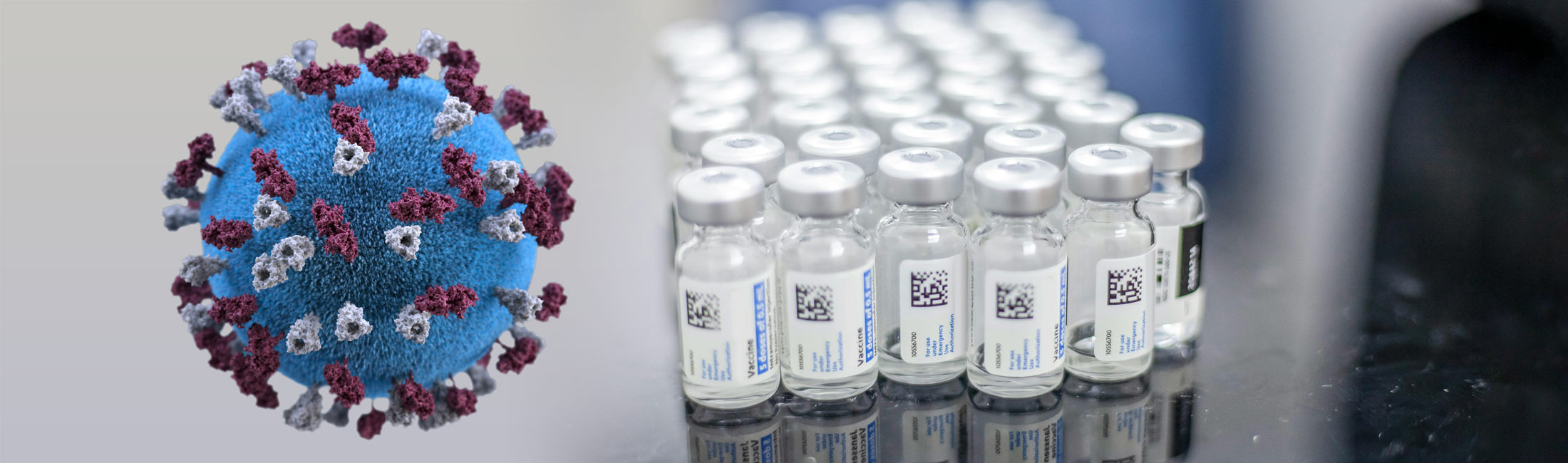 measles illustration and vaccine 