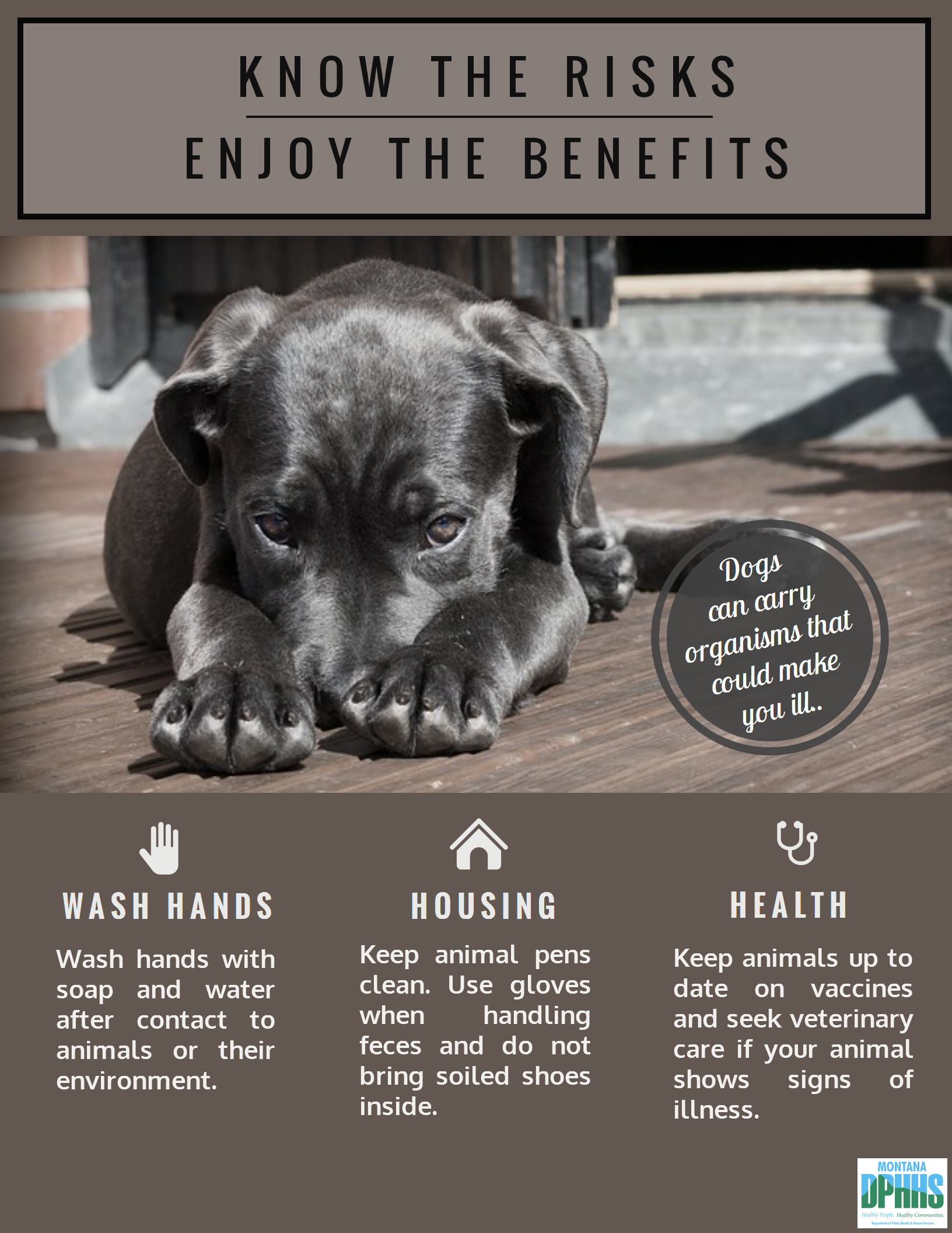Know the risks, enjoy the benefits (pets)