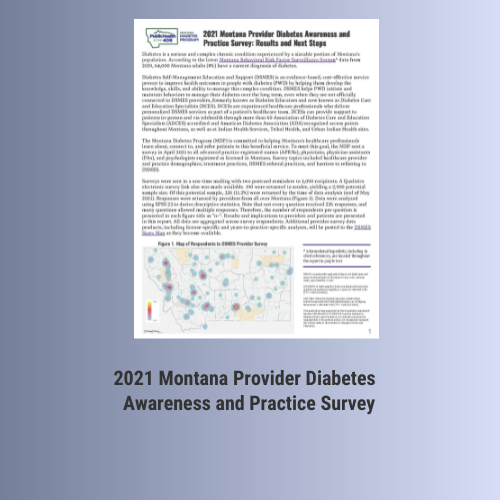 Image of the 2021 Diabetes Provider Survey Report