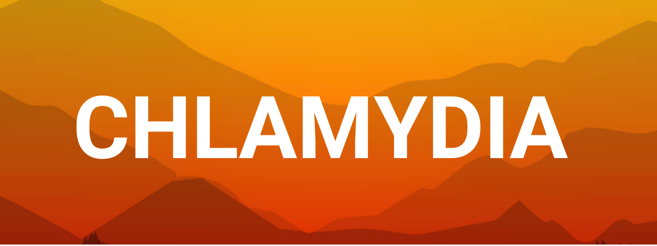 STIChlamydia STIChlamydia