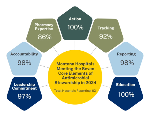 HAI_Montana_Hospitals_Core_Elements_Summary