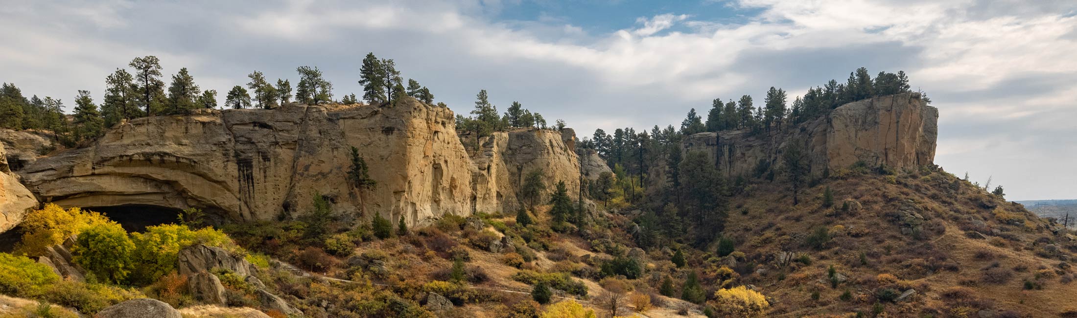 Performance Excellence