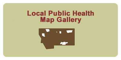 Local Public Health Map Gallery